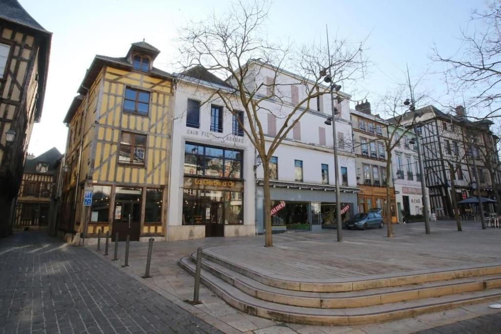 Cocoon Standing - Coeur Historique De Troyes Lejlighed Eksteriør billede